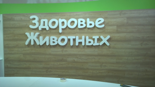 Интерьерная реклама в Воронеже